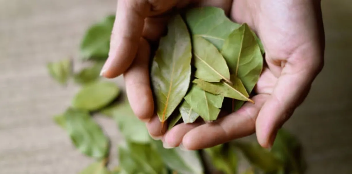 El truco casero con laurel y agua tibia para aliviar el cansancio en los pies