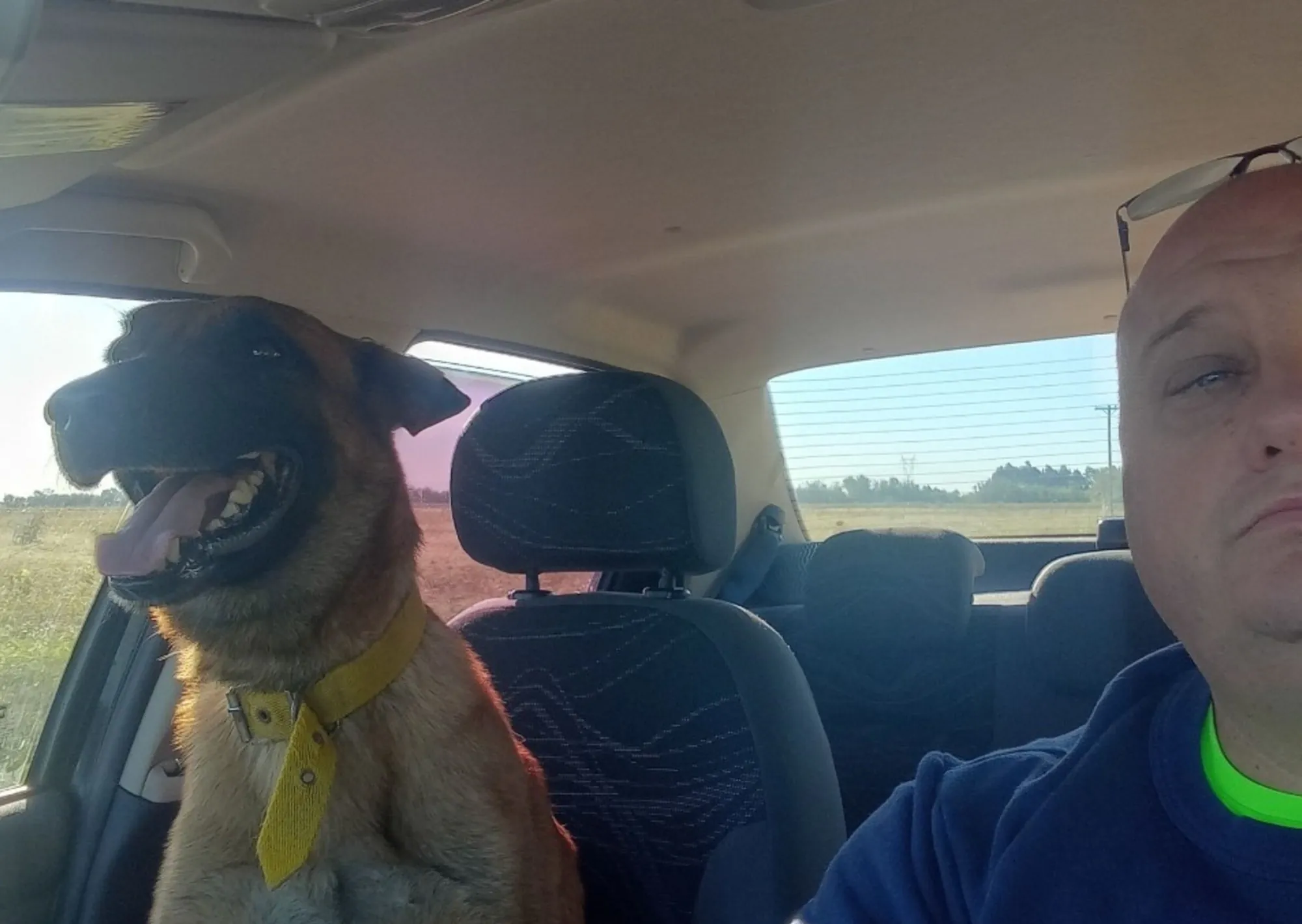 "Me siento feliz": el emotivo reencuentro entre un hombre y su perro perdido que se volvió viral