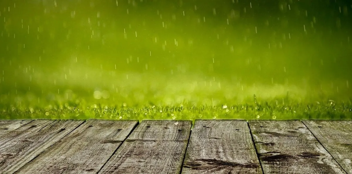 Clima en Junín hoy: cuál es el pronóstico del tiempo para el 14 de marzo de 2026