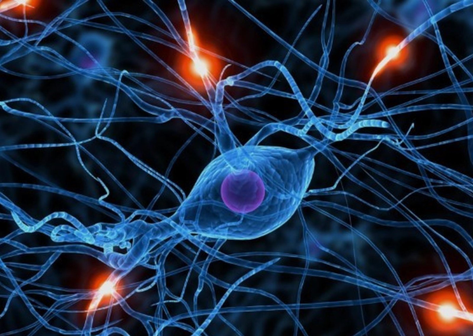 Según un estudio, una molécula natural podría ayudar a eliminar la acumulación de proteínas en el Alzheimer