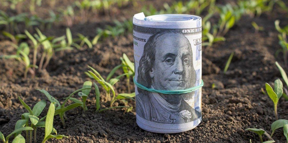 La liquidación de dólares del agro se desplomó 41% interanual en febrero