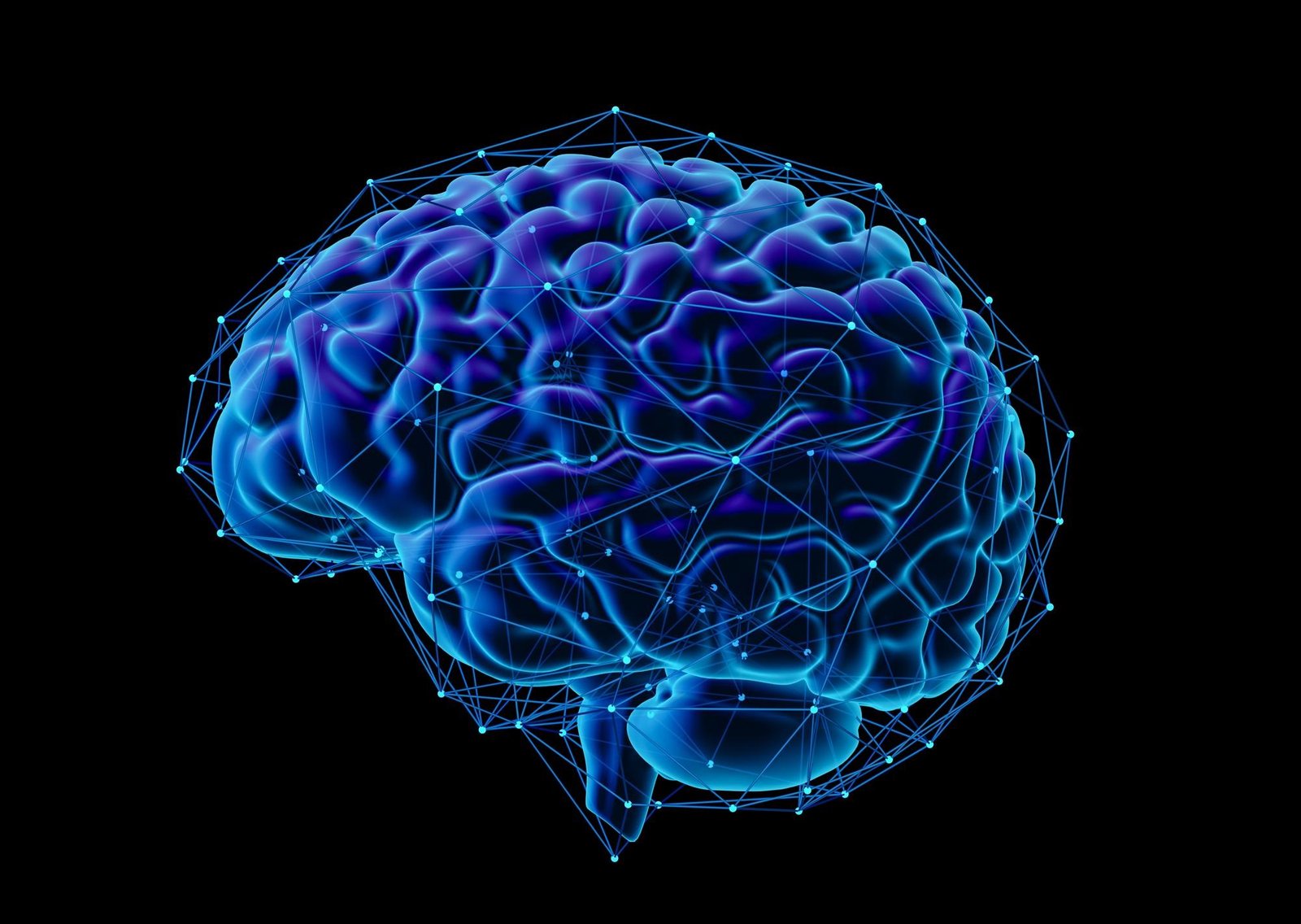 ¿A qué edad empieza a deteriorarse el cerebro? Científicos de la Universidad de Stony Brook identifican el momento clave