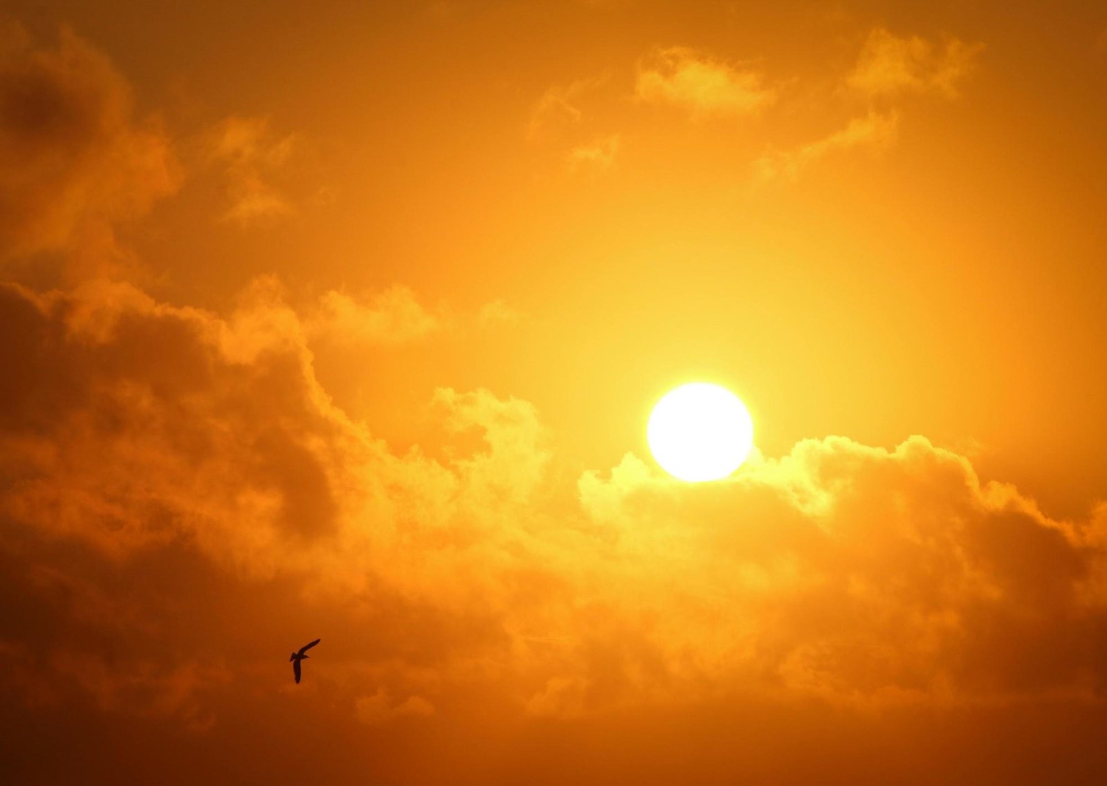 Clima hoy en Culiacán, México: el pronóstico del tiempo para este viernes 27 febrero de 2026