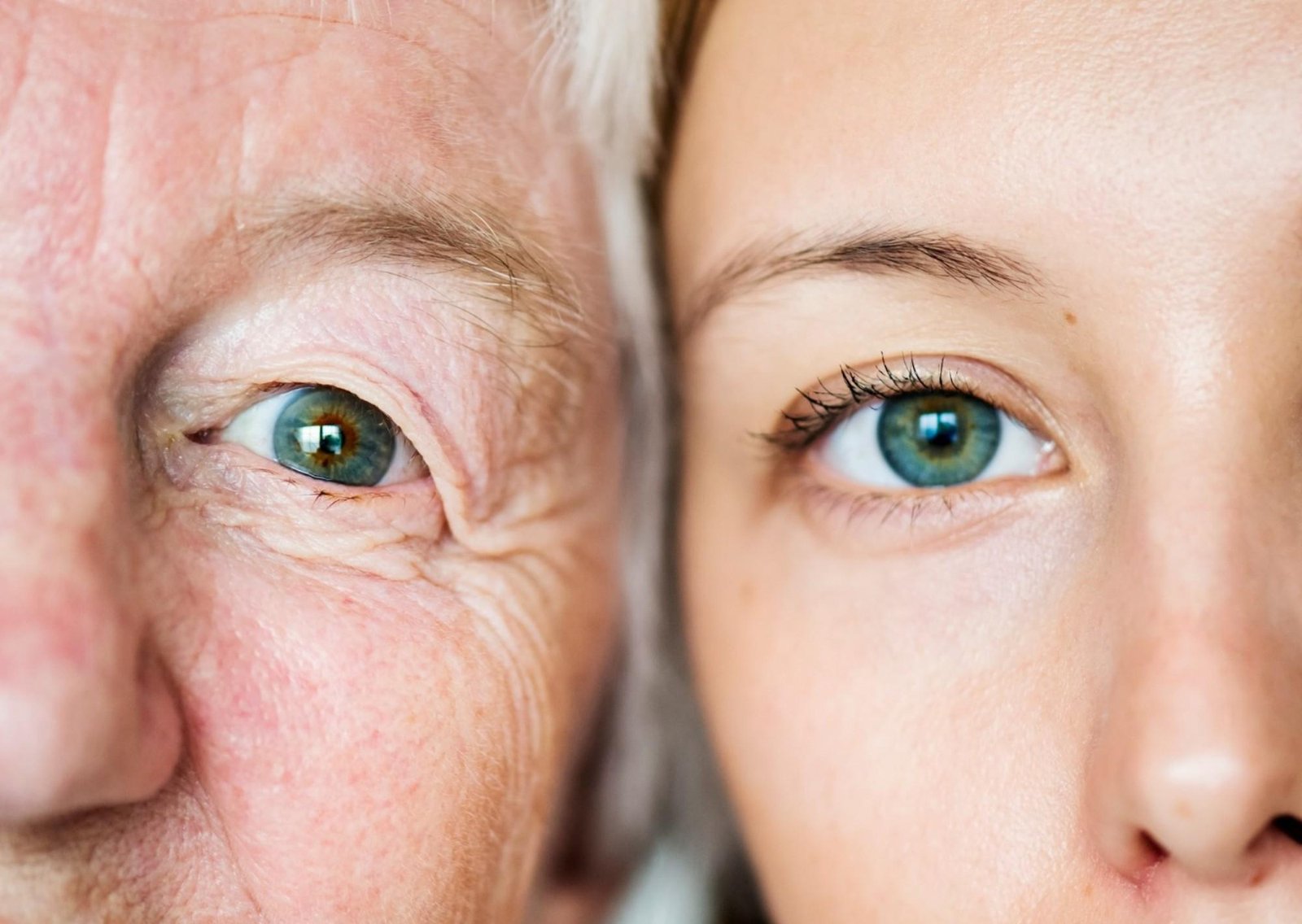 Registro médico: crean un test que indica la edad biológica de los órganos del cuerpo humano