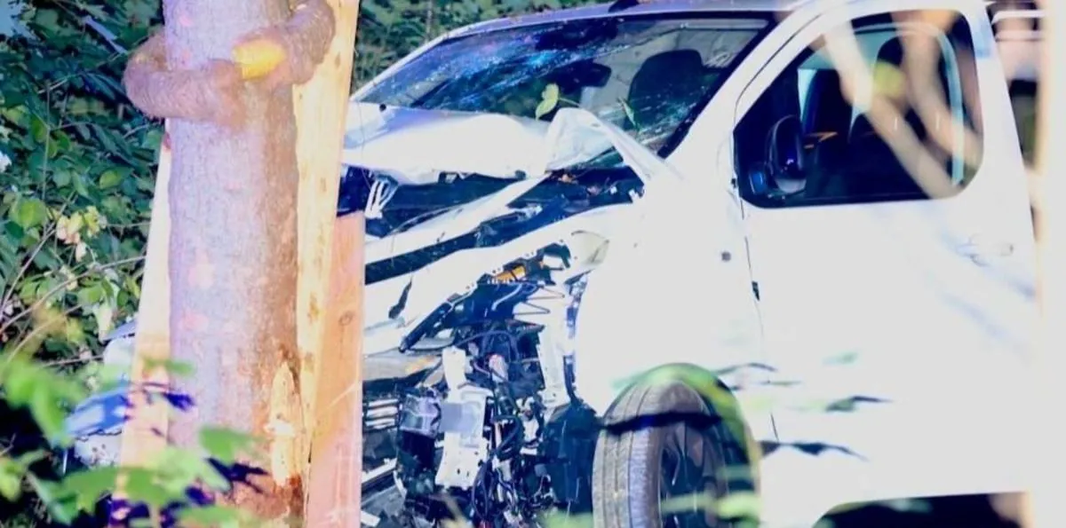 Tragedia en Berlín: un auto irrumpió en plena marcha del Día del Orgullo y dejó un muerto y varios heridos
