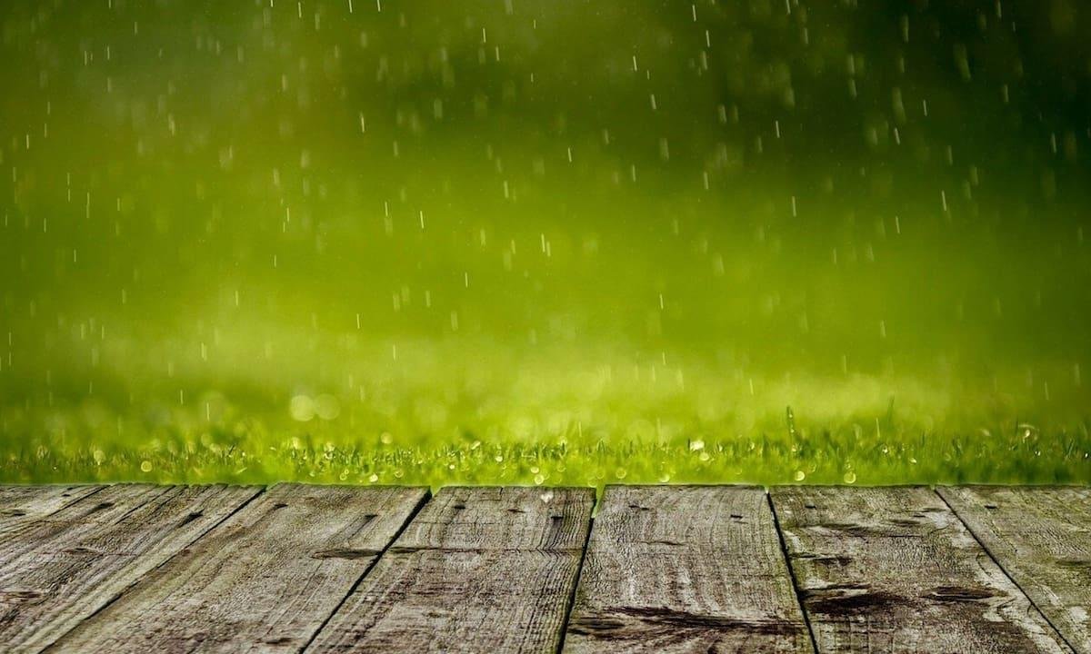 Clima en Río Gallegos hoy: cuál es el pronóstico del tiempo para el 4 de febrero de 2026