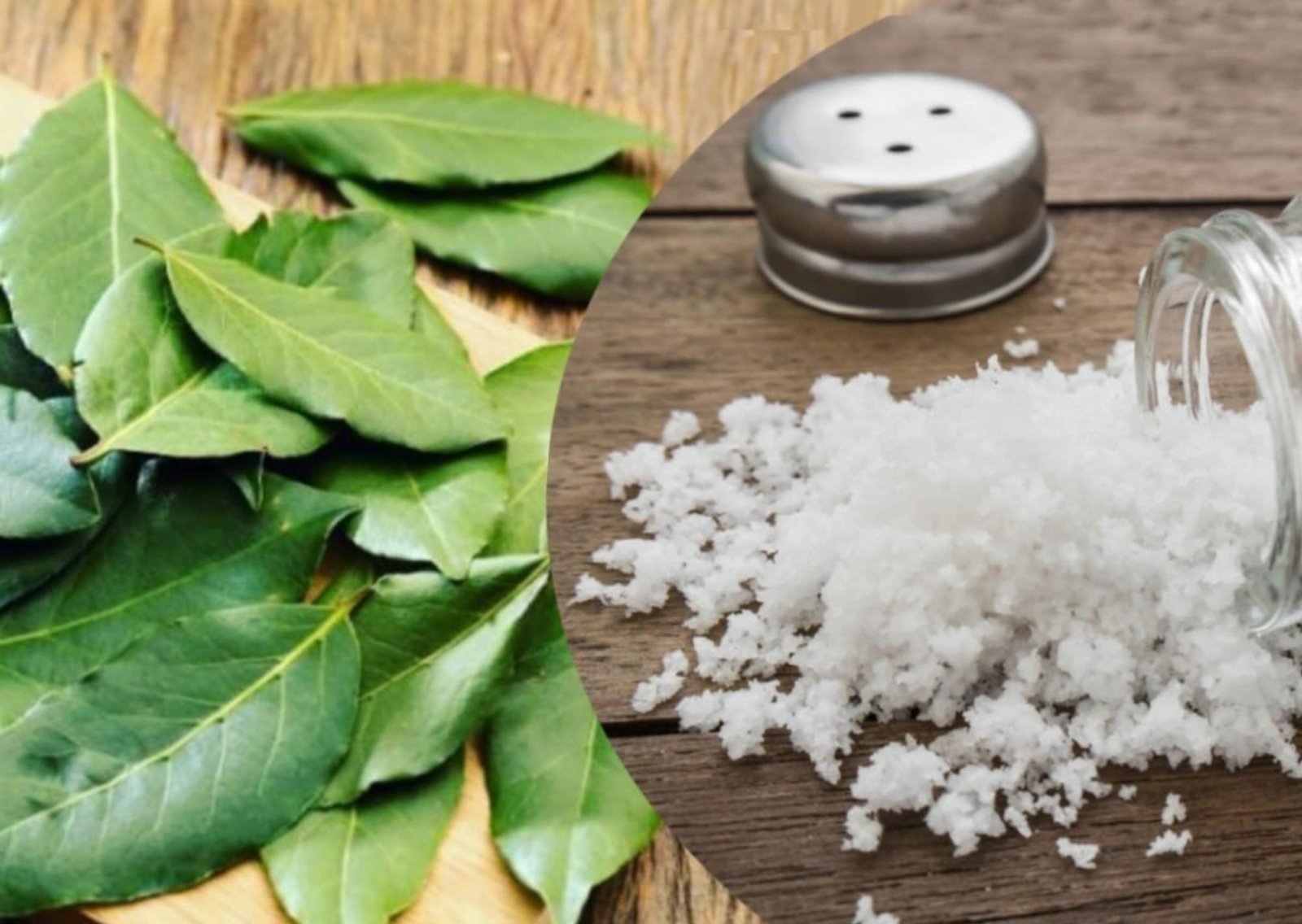 Para qué sirve quemar laurel y sal y por qué el Feng Shui recomienda hacerlo en la casa