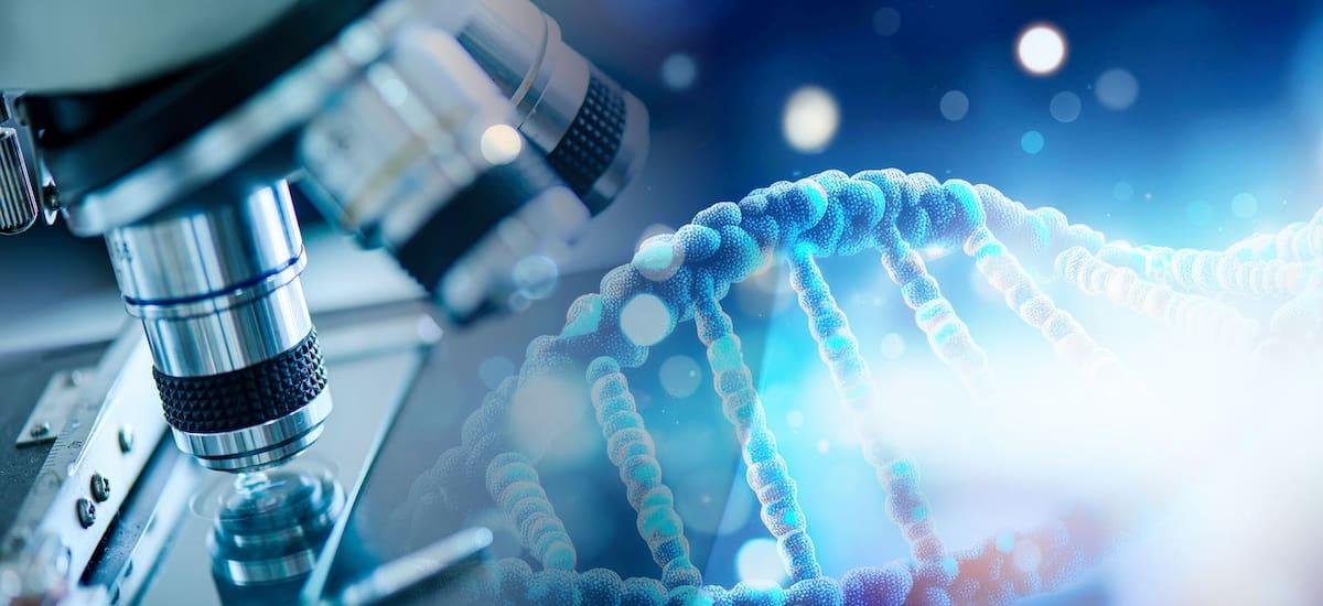 Histórico: científicos hallan el “santo grial” de la medicina y logran eliminar tumores de páncreas con una combinación de fármacos