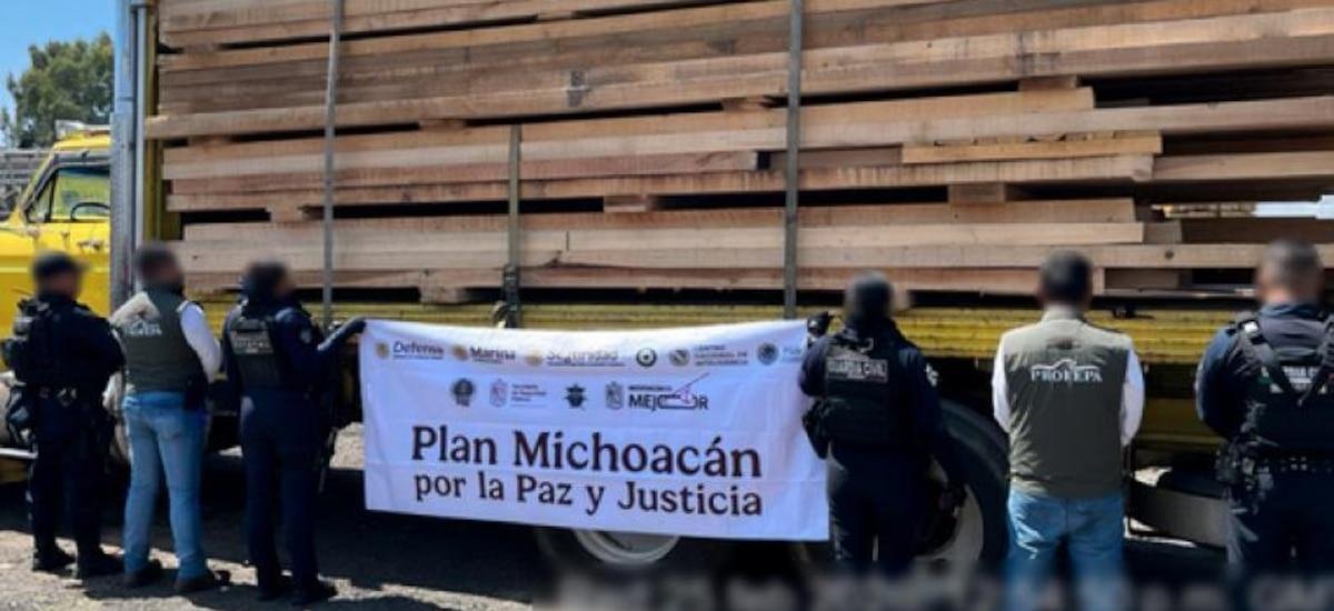 Operativo sorpresa frena tala ilegal en Michoacán: decomiso de madera y 14 detenidos