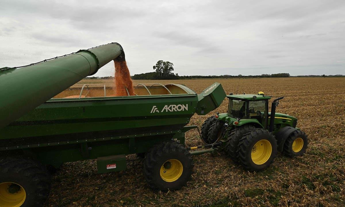 Sin retenciones y con mejores créditos: un informe puso la lupa sobre qué hace falta para la continuidad de las empresas del agro