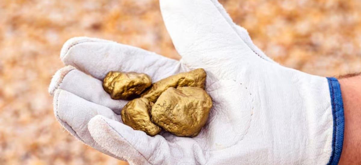 Una fortuna: el electrodoméstico que tenés en tu casa y posee oro de 22 quilates