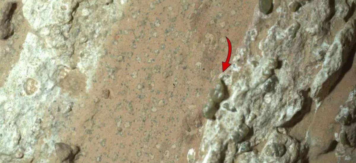 La NASA detectó indicios de vida y crece la preocupación por mundos alienígenas: el viaje al planeta podría durar entre 7 a 9 meses