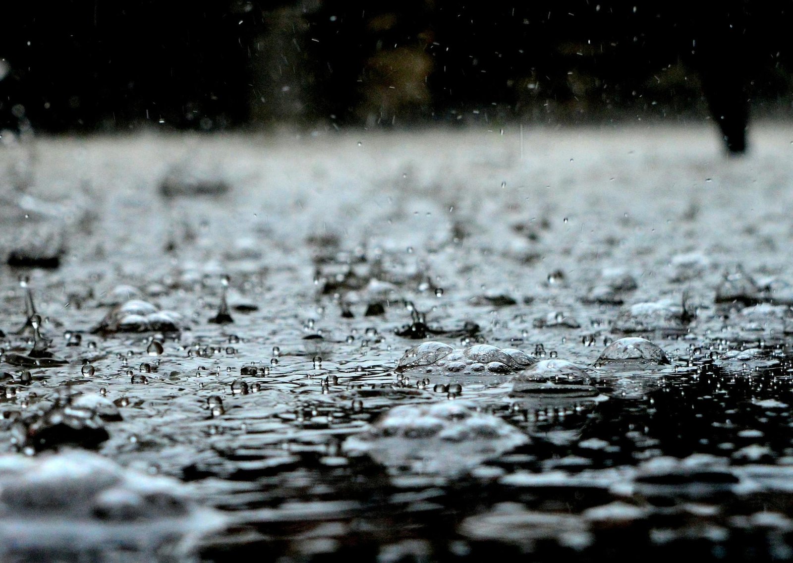 Clima hoy en San Salvador del Jujuy: el pronóstico del tiempo para este sábado 31 enero de 2026