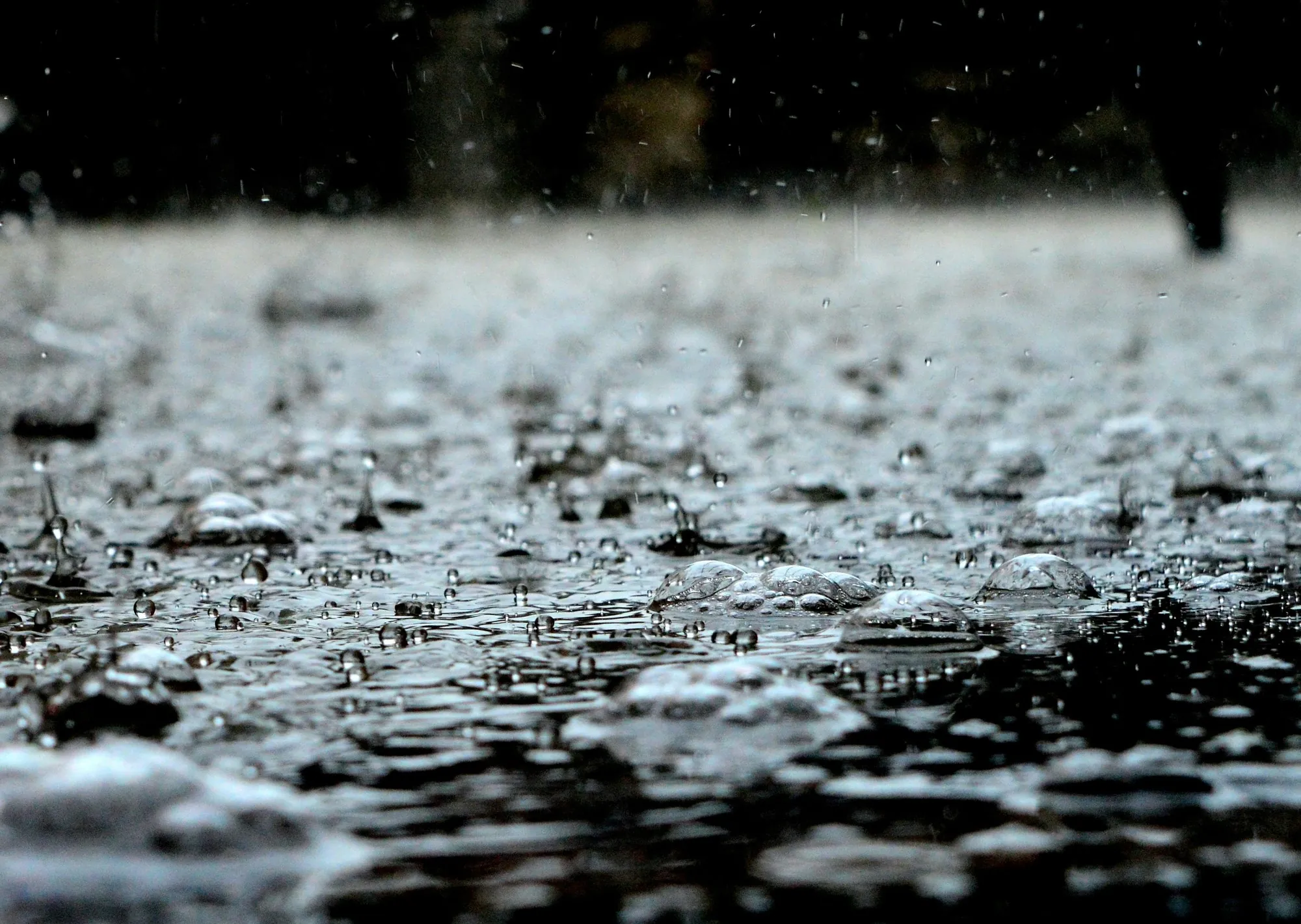 Clima hoy en Necochea, Buenos Aires: el pronóstico del tiempo para este sábado 14 marzo de 2026