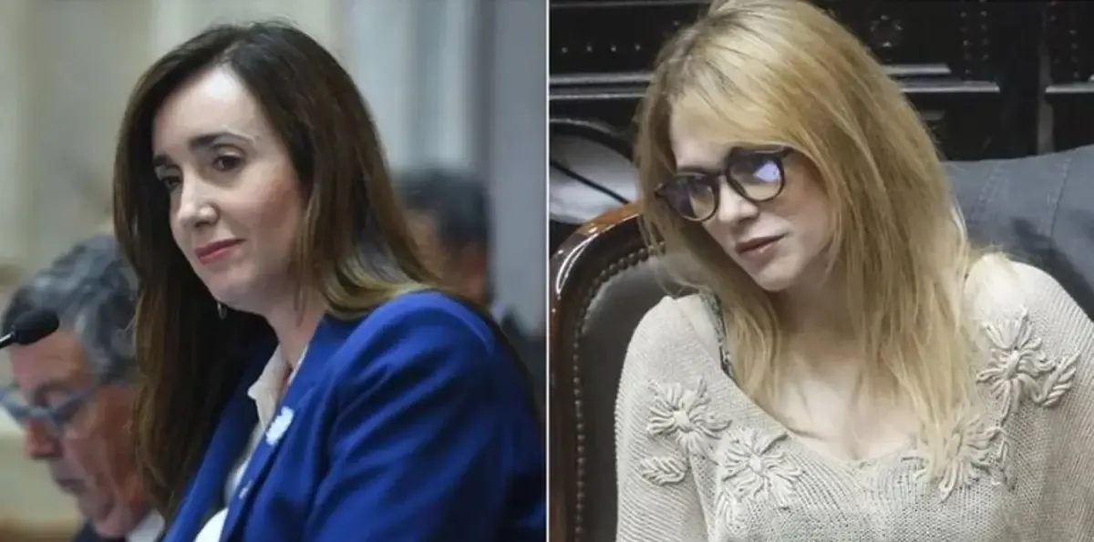 Con acusaciones de "cerebro de microbio" y "kukas camuflados", Villarruel y Lemoine se volvieron a cruzar