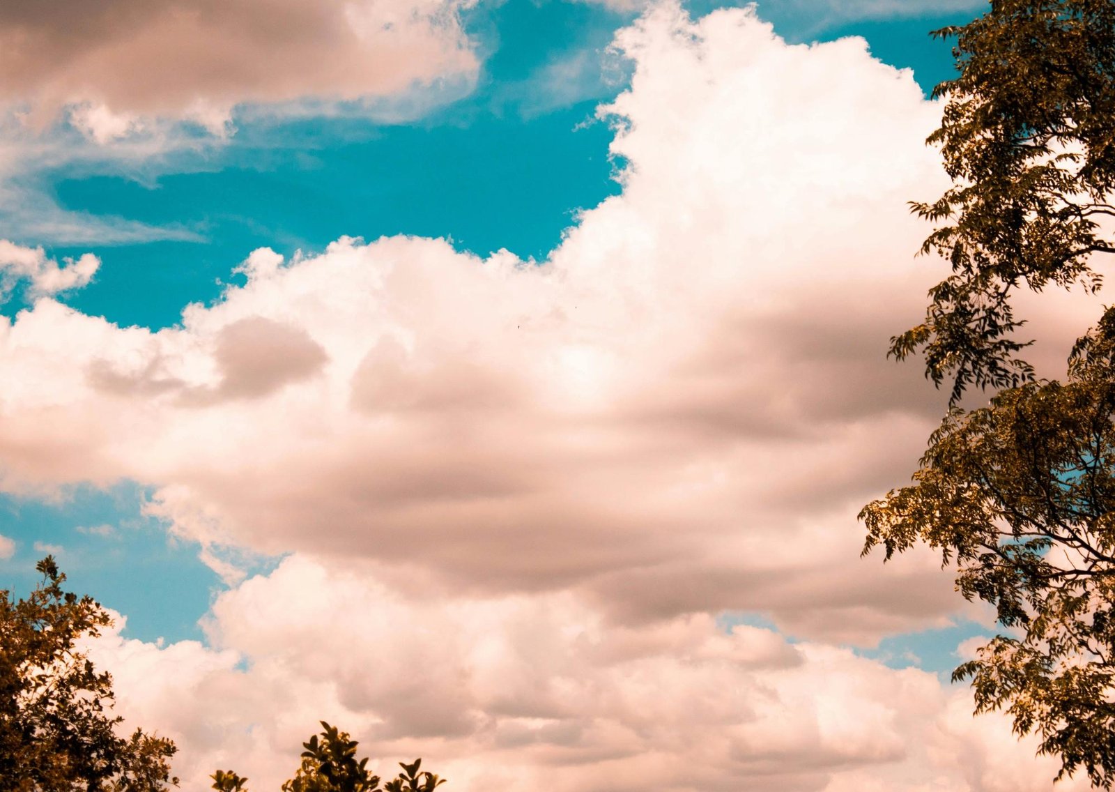 Clima hoy en La Paloma, Uruguay: el pronóstico del tiempo para este viernes 30 enero de 2026