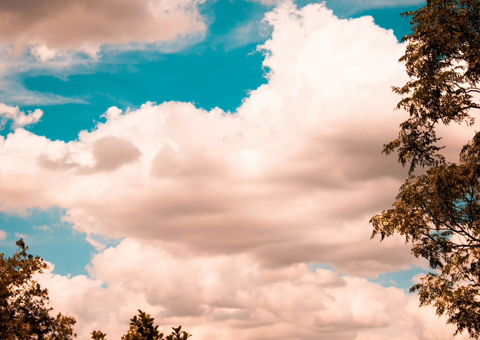 Clima hoy en Río Grande, Tierra del Fuego: el pronóstico del tiempo para este sábado 14 marzo de 2026