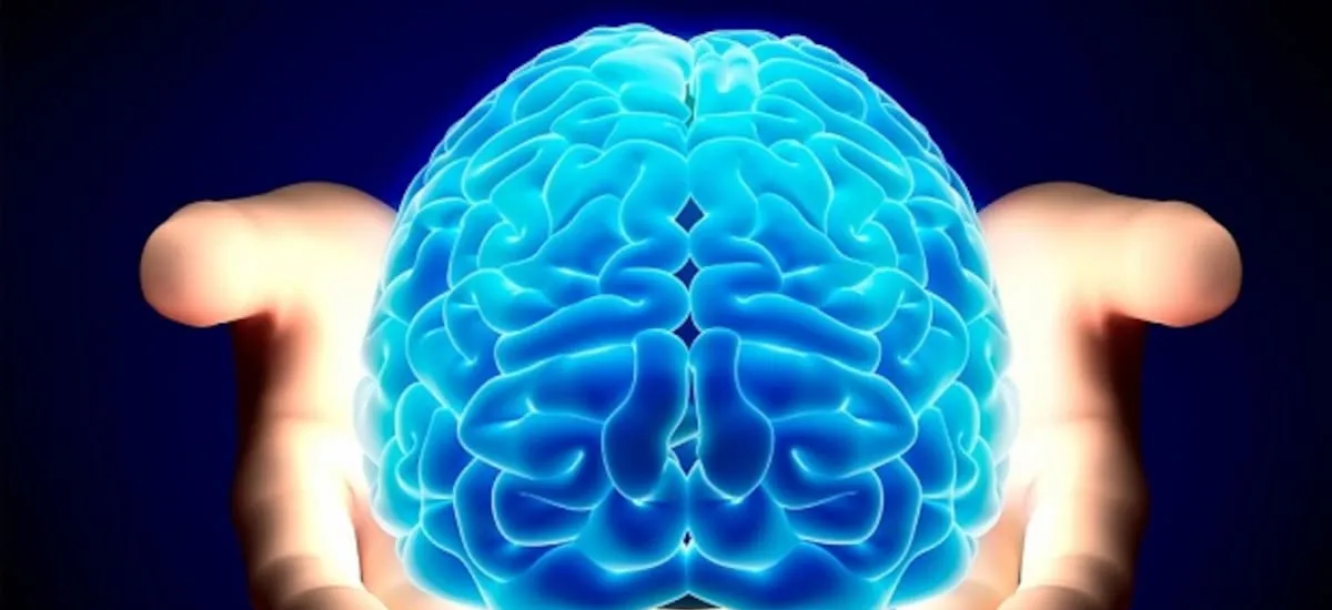 Congelaron un cerebro a –196 °C y volvió a funcionar: el experimento que desafía lo que sabemos sobre la vida