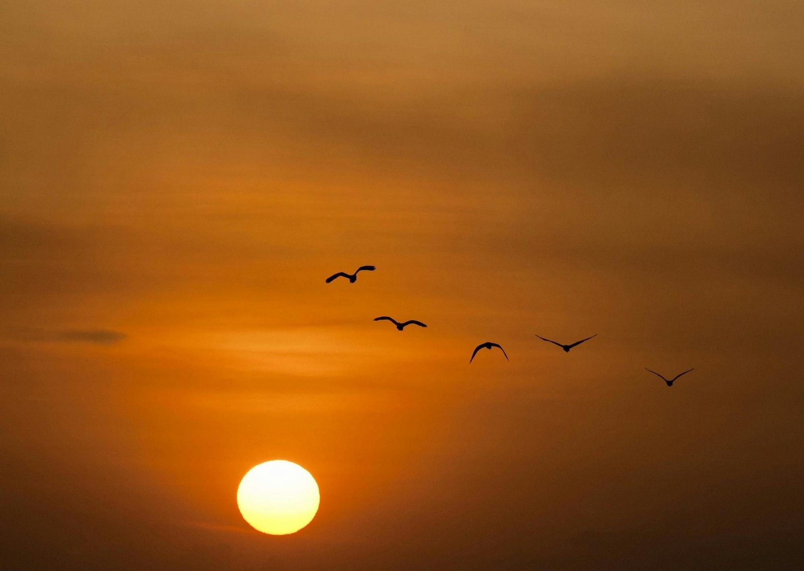 Clima hoy en Cabo San Lucas, México: el pronóstico del tiempo para este domingo 1 marzo de 2026