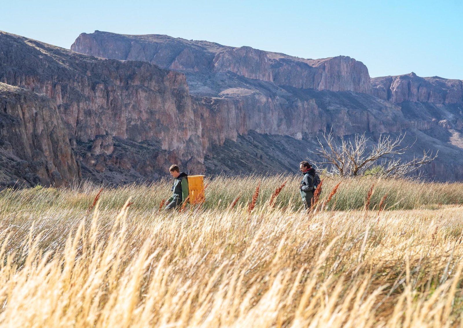 Día Internacional de los Humedales: restaurando los oasis de la estepa santacruceña