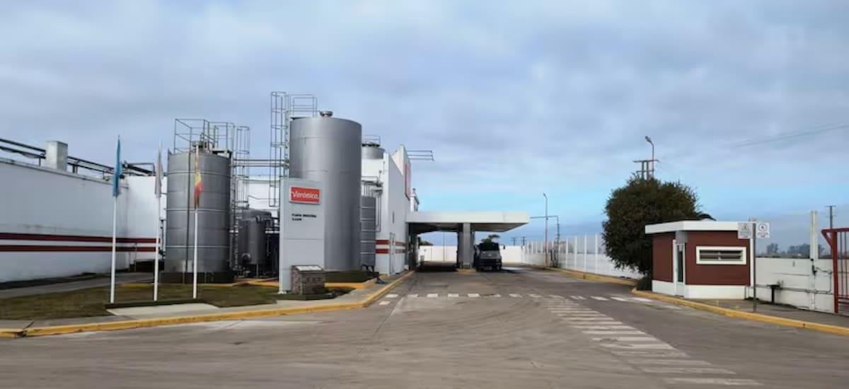Qué está pasando con la láctea Verónica: planta paralizada, deudas millonarias y rumores de venta