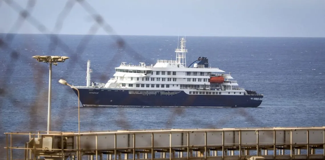 Científicos buscan la cepa Andes en ratones de Ushuaia tras tres muertes en un crucero