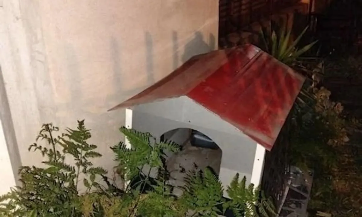 Atraparon a un ladrón de automóviles que se había escondido en una cucha de perro