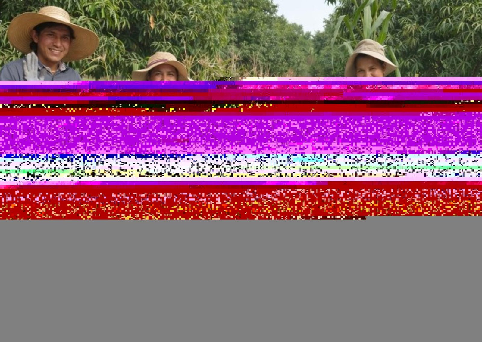 En sólo tres meses, un agricultor en silla de ruedas transforma un desierto en una granja orgánica con 60 cultivos diferentes