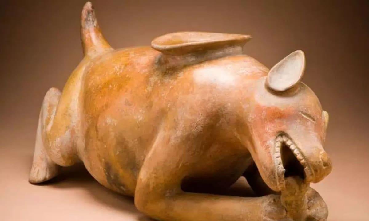 Un estudio reveló la lujosa vida de los perros mayas: tenían mejor dieta que muchas personas
