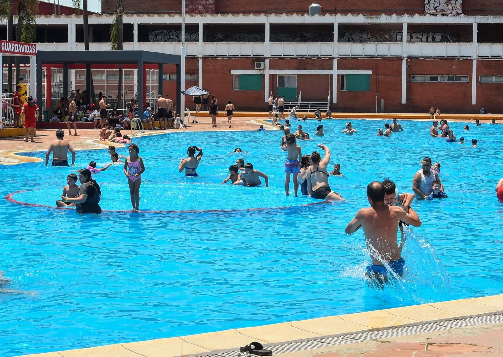 Las piletas de la Ciudad abren todo el día desde hoy: horarios y cómo acceder