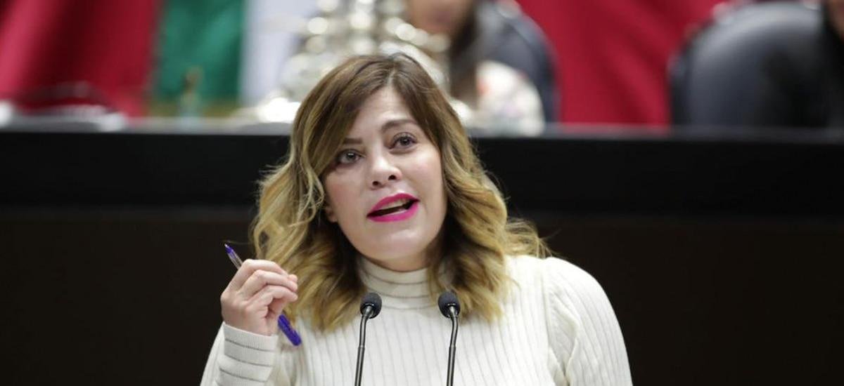 Lilia Aguilar Gil, la diputada del PT acusada de “traición” por su postura ante la reforma electoral de Sheinbaum