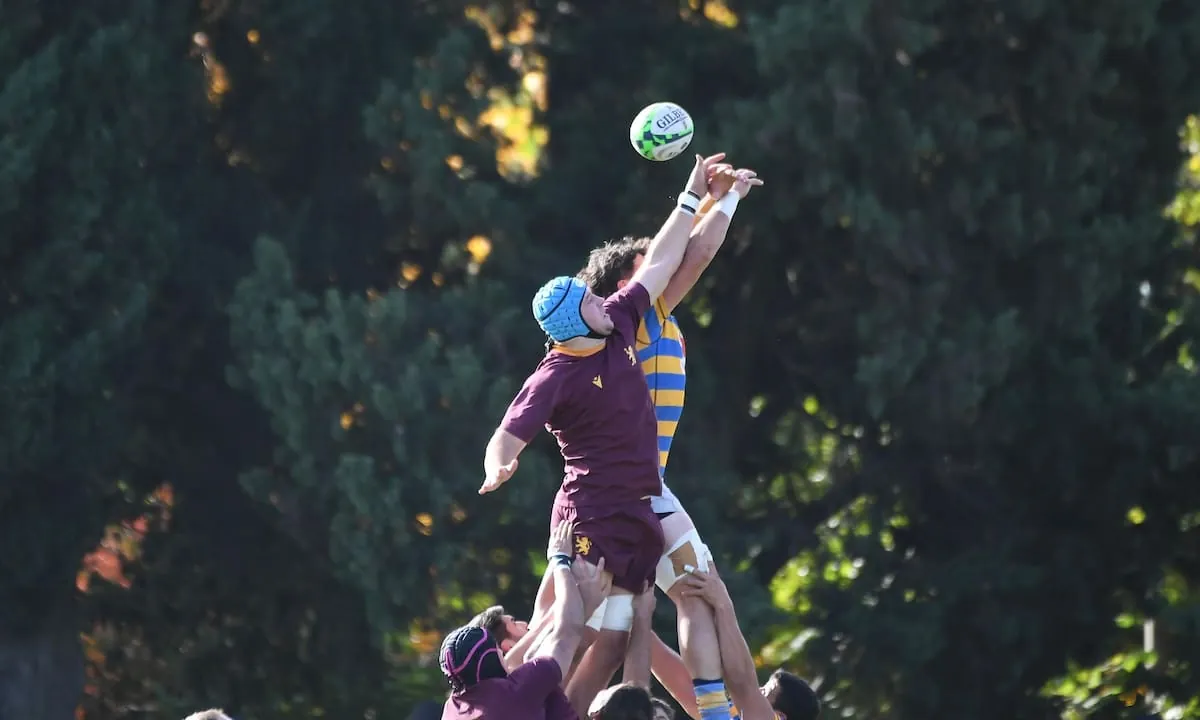Top 14 de URBA: Newman terminó con el invicto de Hindú por un polémico penal en la última jugada