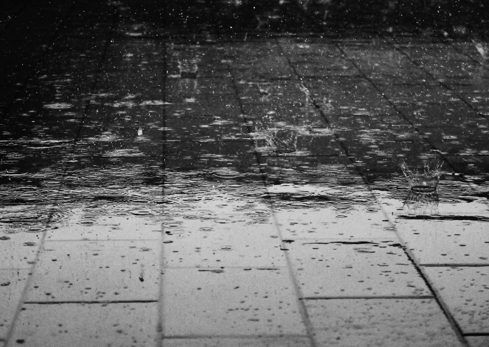 Clima hoy en Azul, Buenos Aires: el pronóstico del tiempo para este domingo 1 febrero de 2026