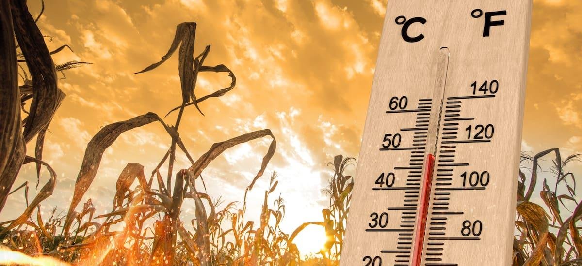 Alerta climática en el país: llega una ola de calor que partirá la tierra en dos y dejará a todos estos estados en riesgo de sequía