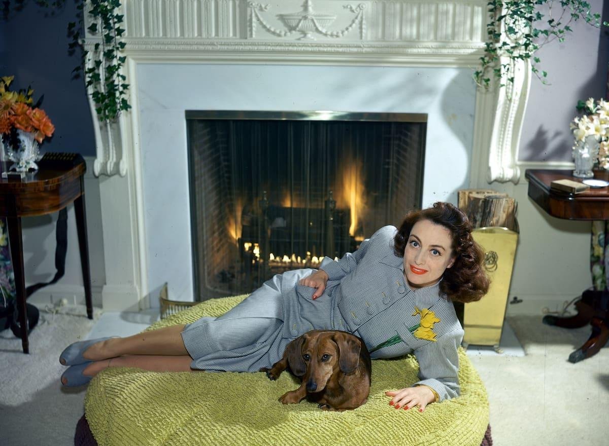 Los dólares los tapaban pero traicionaron a sus hijos y los sacaron del testamento: “Heredar es desagradable”