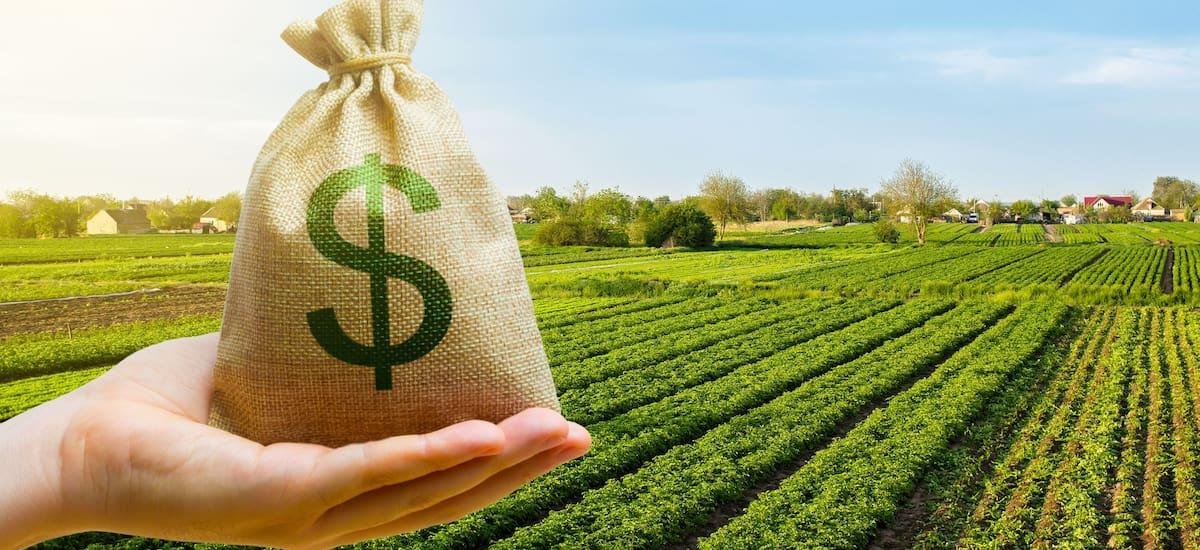 La venta de campos resurgió y suben los precios: a cuánto se venden hoy las hectáreas más demandadas - El Cronista