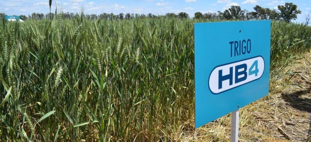 Envuelta en una disputa de accionistas, se decretó la quiebra de la empresa que dio origen a Bioceres