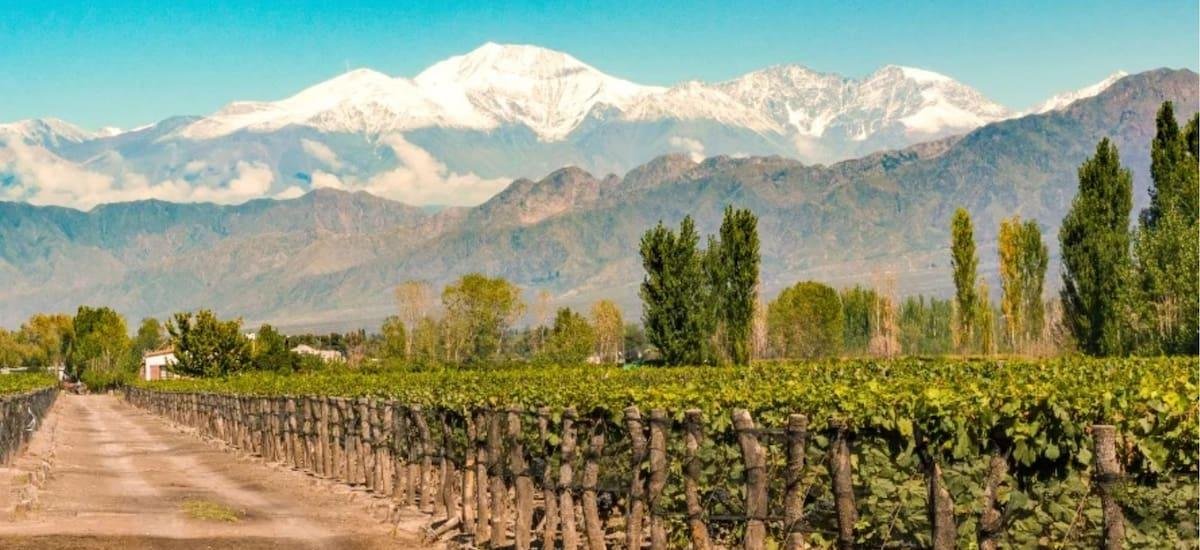 Mendoza, ante una oportunidad histórica se prepara para consolidar su desarrollo productivo