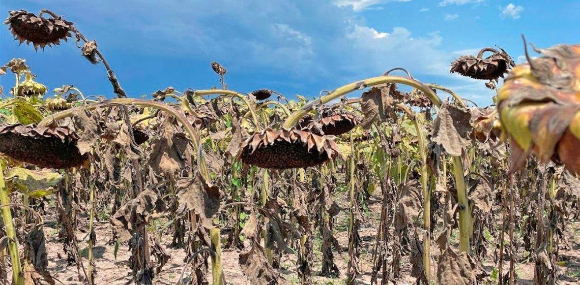 Riesgo país ambiental