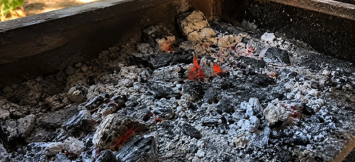 Tirar cenizas de asado en las macetas y el jardín: por qué lo recomiendan y para qué sirve