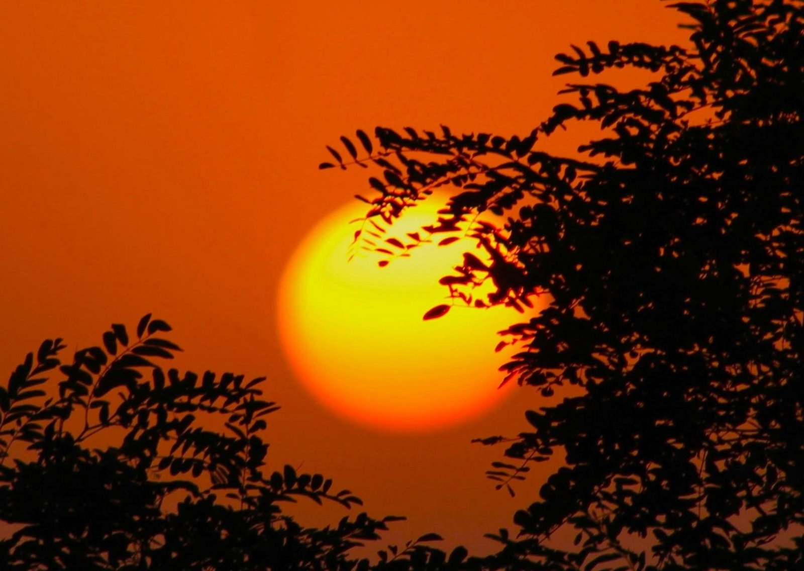 Clima hoy en Cabo San Lucas, México: el pronóstico del tiempo para este viernes 27 febrero de 2026