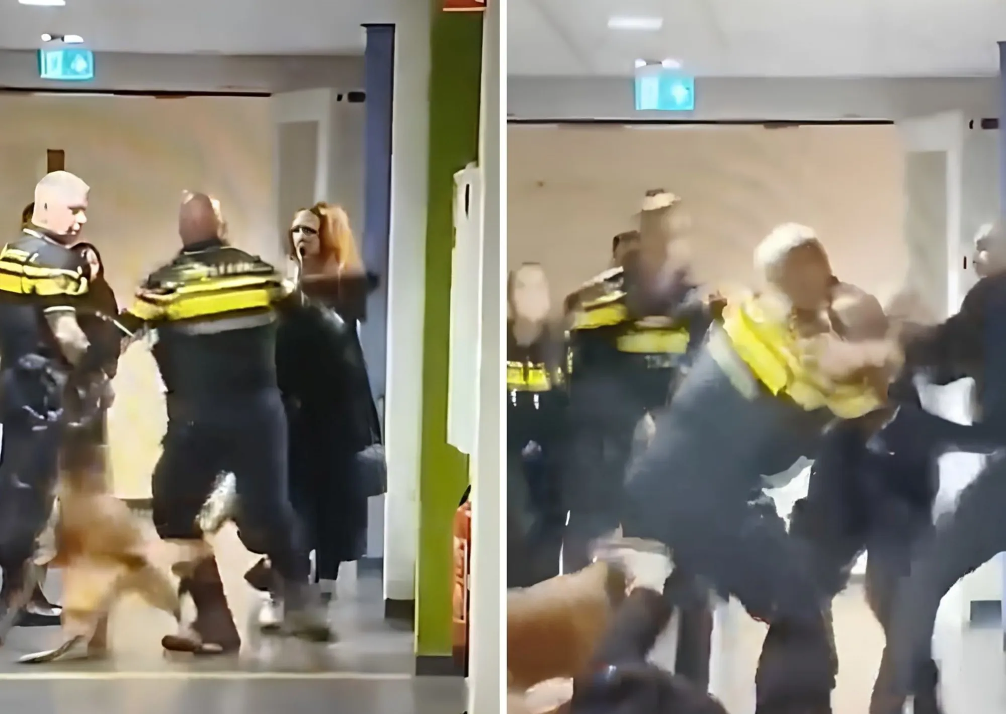 El video que causa indignación en Países Bajos: un policía tira al suelo a una mujer que, según medios locales, estaría embarazada