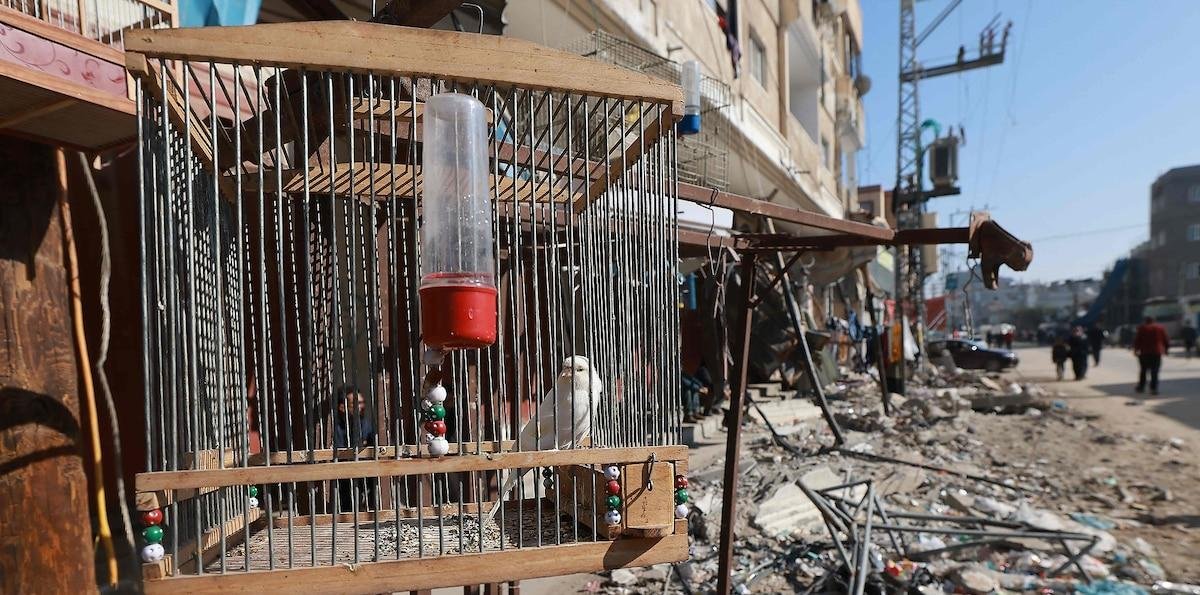 Instalaciones petroleras atacadas en Omán y Emiratos, producción interrumpida en Catar