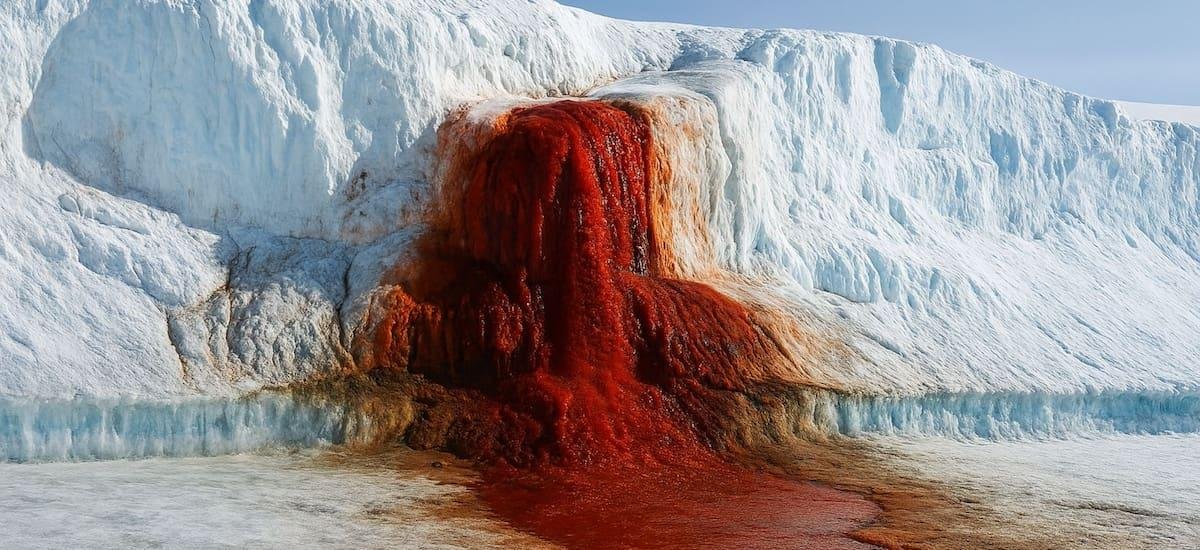 “Cascada de sangre” en la Antártida: cómo se explica este fenómeno que sorprende al mundo - El Cronista