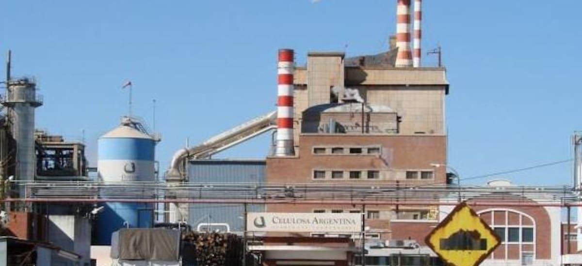 Celulosa: según Nofal, debería pagarle a los minoritarios un precio más de 610 veces inferior al de mercado - El Cronista