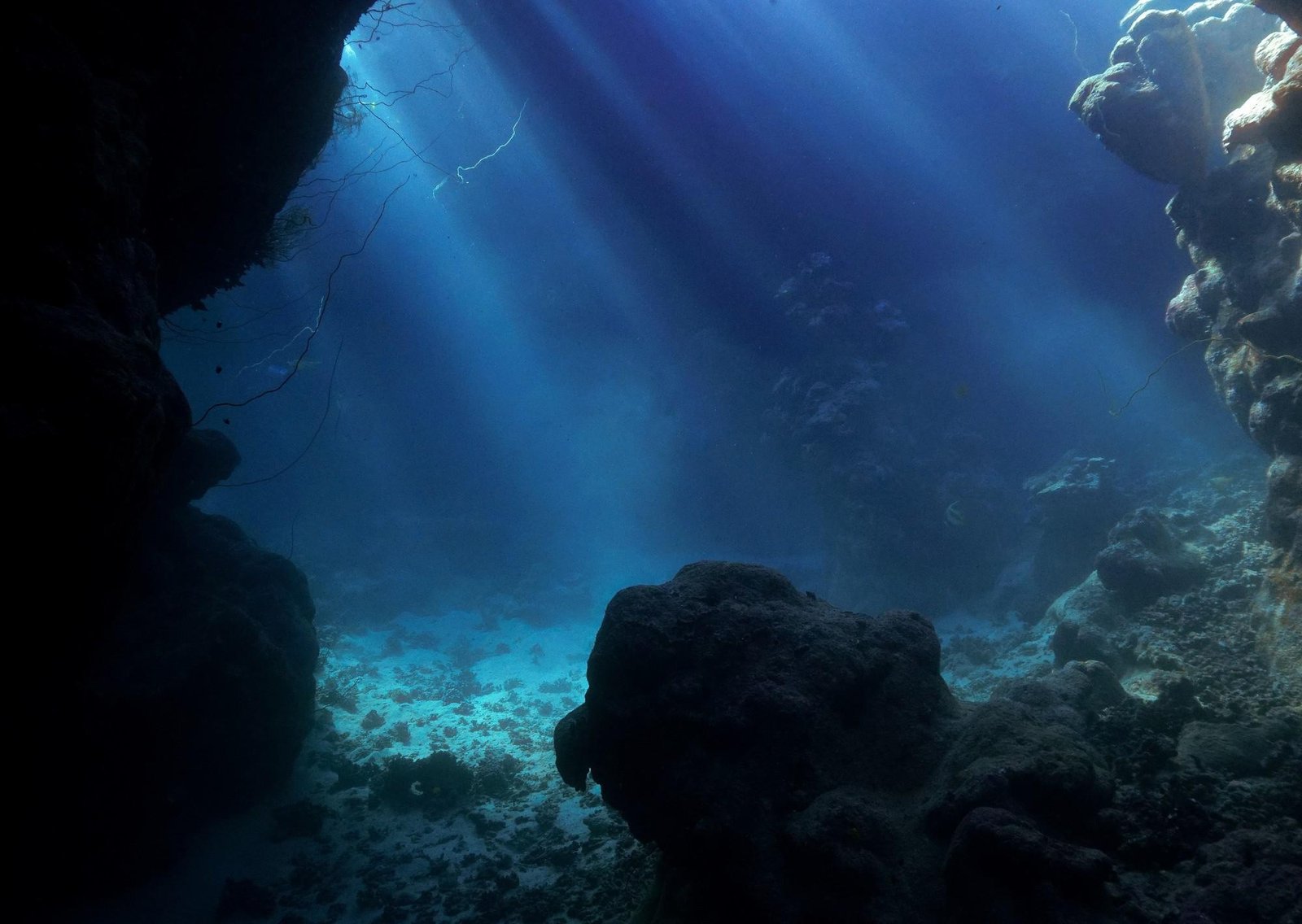 Histórico hallazgo bajo el Pacífico: descubren una anomalía que data desde la era de los dinosaurios