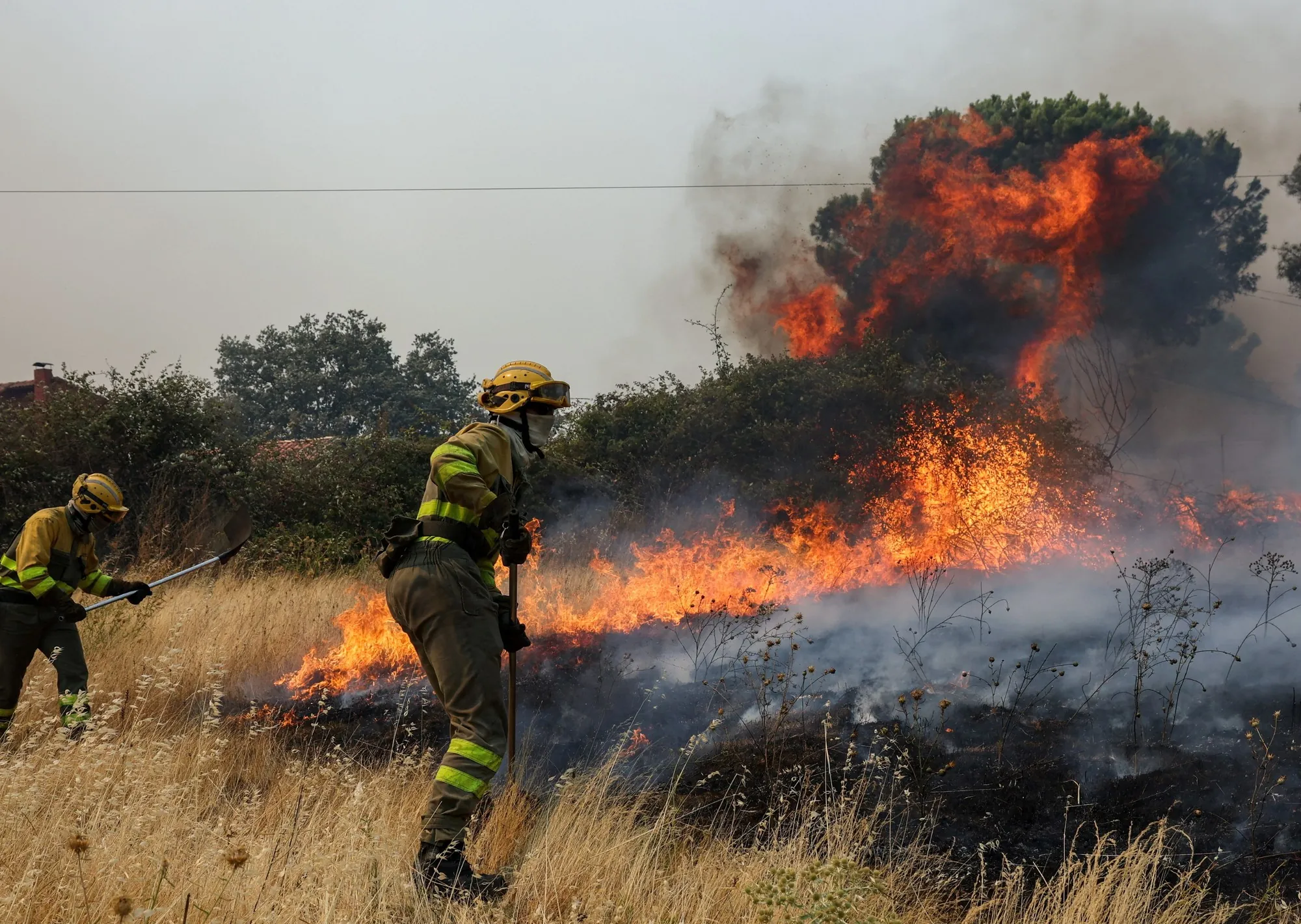 Incendios en Madrid: esperan horas "muy complejas" y Pedro Sánchez anuncia que va a declarar la emergencia para las zonas afectadas por el fuego