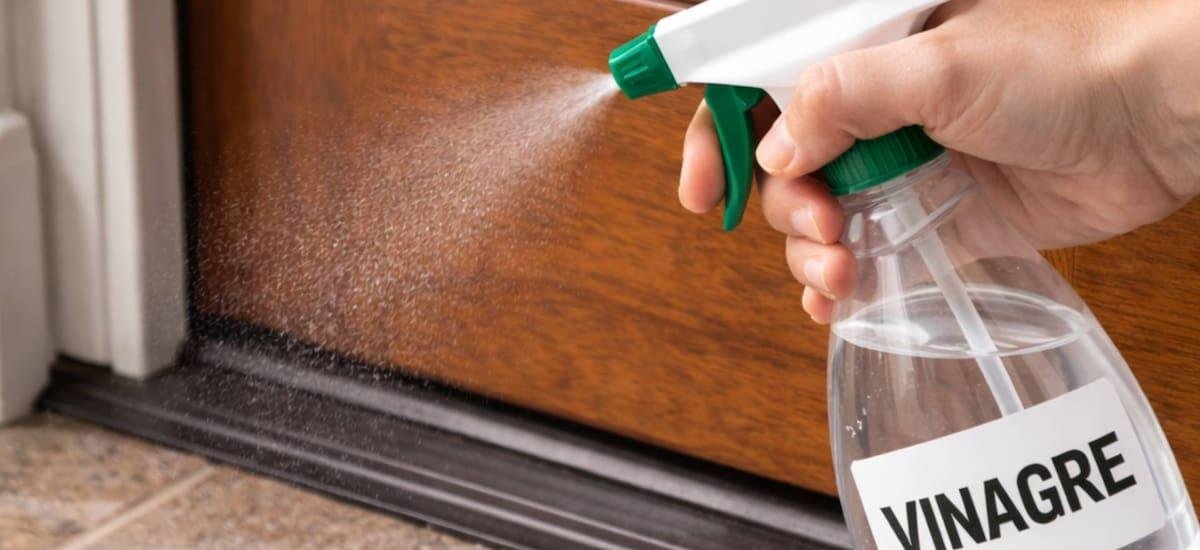 Rociar vinagre en la puerta: para qué sirve y por qué recomiendan hacerlo - El Cronista