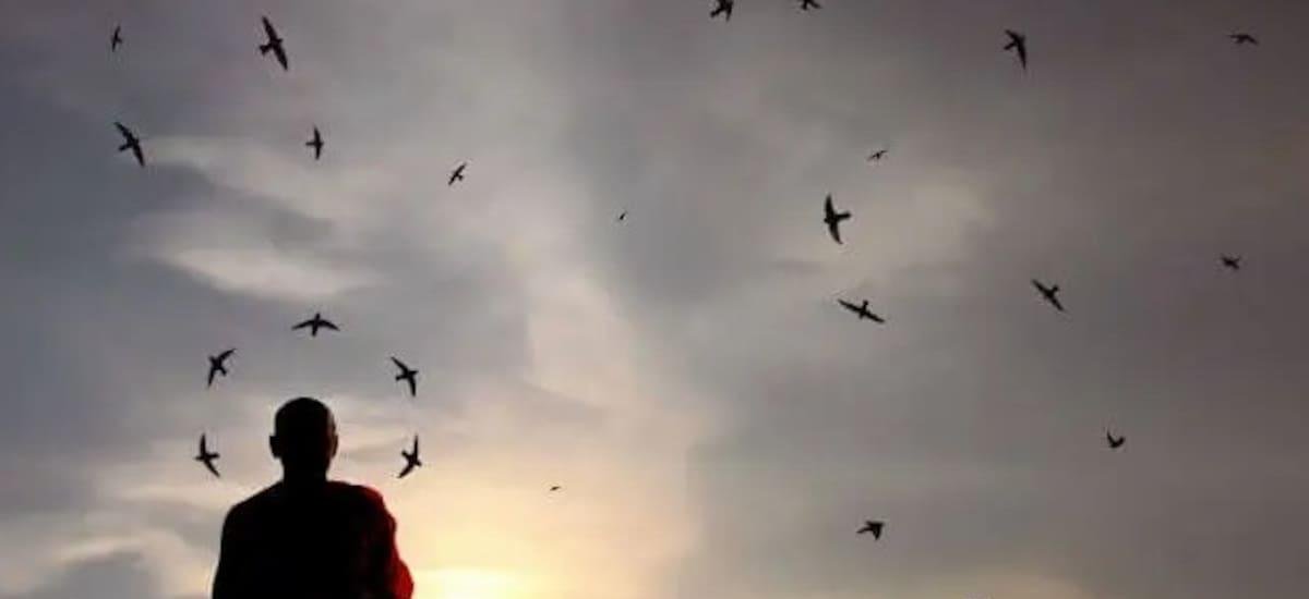 El hábito de las personas realmente sabias, según este antiguo filósofo: “Muchas palabras…” - El Cronista