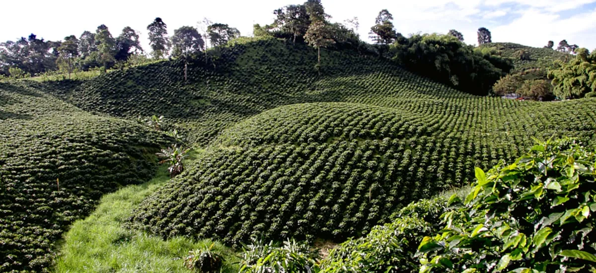 El pueblo colombiano que lleva el nombre de una histórica ciudad española y hoy conquista con sus cafetales y arquitectura colonial